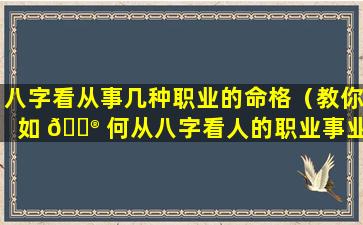 八字看从事几种职业的命格（教你如 💮 何从八字看人的职业事业）
